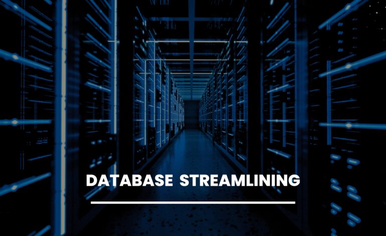 Database streamlining
