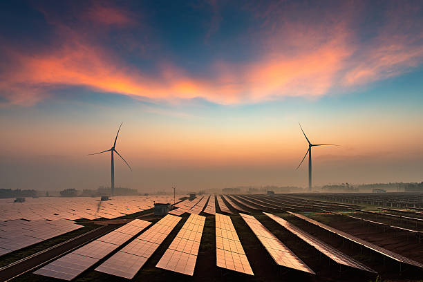 Reliable Solar Installation Companies Near Me for Homes
